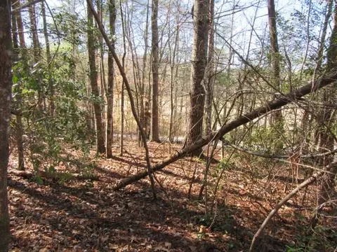 111 Broken Bow Run, Pickens, SC 29671 photo 4