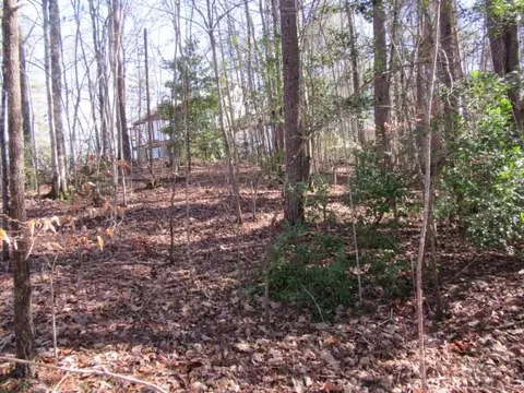 111 Broken Bow Run, Pickens, SC 29671 photo 3
