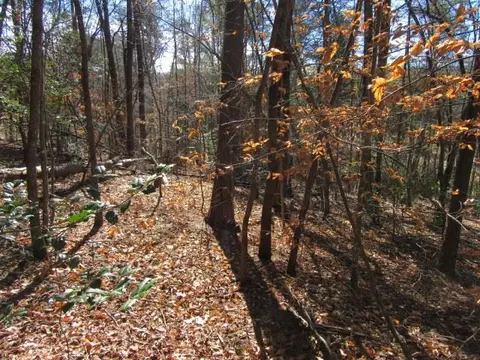 111 Broken Bow Run, Pickens, SC 29671 photo 5