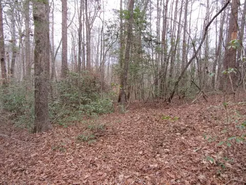 111 Broken Bow Run, Pickens, SC 29671 photo 18