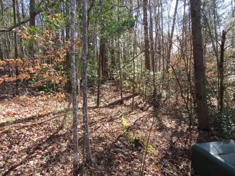 111 Broken Bow Run, Pickens, SC 29671 photo 2