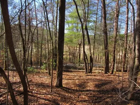 111 Broken Bow Run, Pickens, SC 29671 photo 9