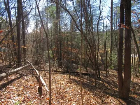 111 Broken Bow Run, Pickens, SC 29671 photo 6