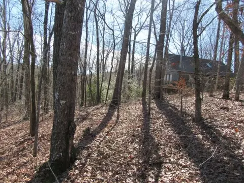 115 Fulda Ct, Pickens, SC 29671 photo 3