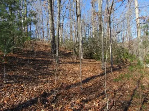 115 Fulda Ct, Pickens, SC 29671 photo 14