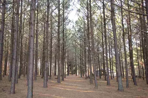 113 Stone Dr, Pelzer, SC 29669 photo 6