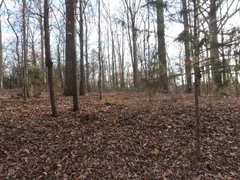 117 Shannon Dr, Pendleton, SC 29670 photo 1