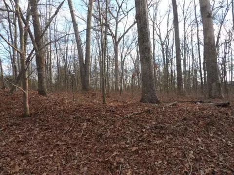 117 Shannon Dr, Pendleton, SC 29670 photo 3