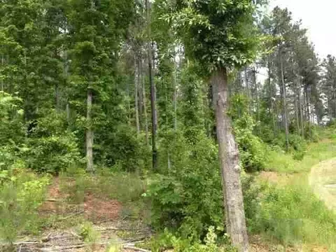 lot58 Four Pointes N #NATURES VIEW DRIVE, Salem, SC 29676