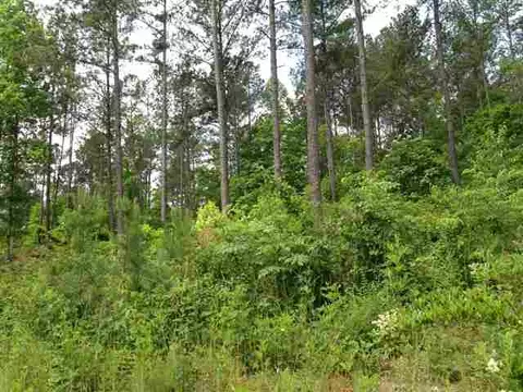 lot59 Four Pointes N #NATURES VIEW DRIVE, Salem, SC 29676
