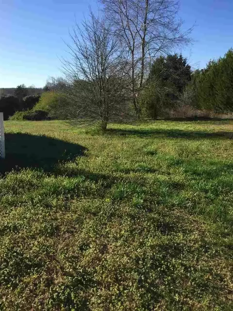 102 Blueberry Ln, Pendleton, SC 29670 photo 6