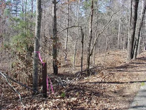 288 Edwards Dr, Toccoa, GA 30577 photo 6