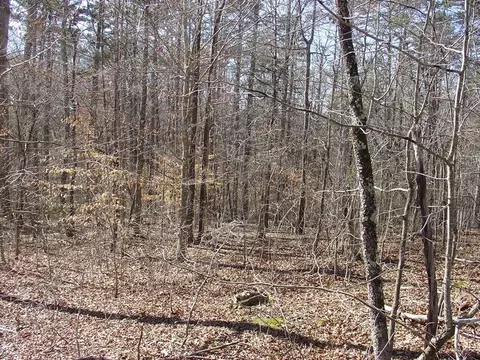 288 Edwards Dr, Toccoa, GA 30577 photo 7