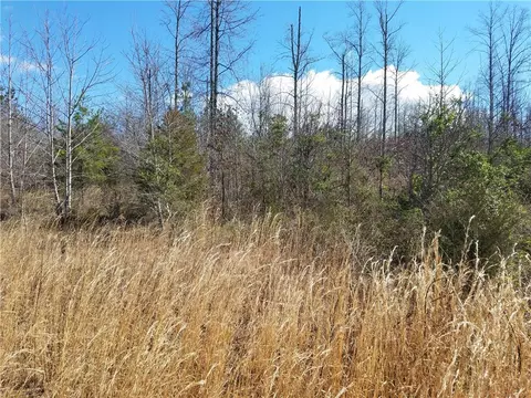 122 Caden Ln, Easley, SC 29640 photo 3
