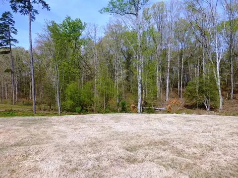 7 Vineyard Way, Williamston, SC 29697 photo 46