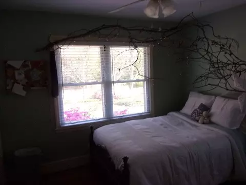 744 Berkeley Dr, Clemson, SC 29631 photo 22