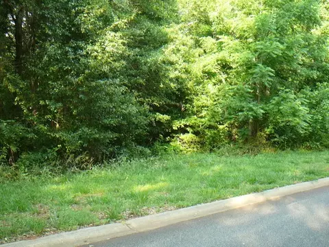 103 Chasewater Dr, Anderson, SC 29621 photo 5