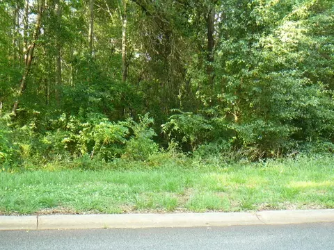 103 Chasewater Dr, Anderson, SC 29621 photo 4