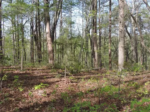 502 Inlet Dr, Seneca, SC 29672 photo 4