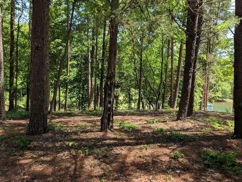 203 Chartwell Point Rd #SENECA, Seneca, SC 29672 photo 6