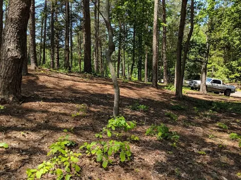 203 Chartwell Point Rd #SENECA, Seneca, SC 29672 photo 8