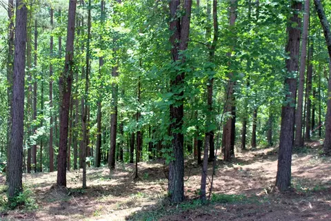 602 Edgeview Ct, Seneca, SC 29672 photo 18
