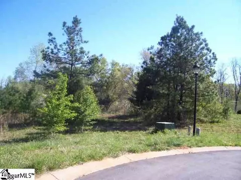 121 Hunt Cliff Ct, Easley, SC 29642 photo 8