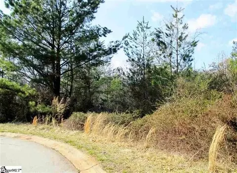 121 Hunt Cliff Ct, Easley, SC 29642 photo 3
