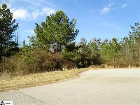 121 Hunt Cliff Ct, Easley, SC 29642 photo 5