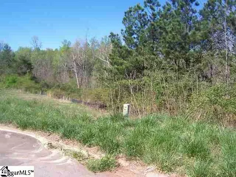 121 Hunt Cliff Ct, Easley, SC 29642 photo 9