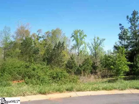 121 Hunt Cliff Ct, Easley, SC 29642 photo 10