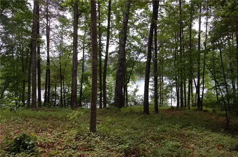 130 Crooked Beech Rd, Sunset, SC 29685 photo 7