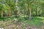 201 Hickory Rd, Williamston, SC 29697 photo 13