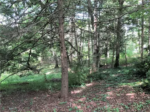 309 N Pine St, Walhalla, SC 29691 photo 30