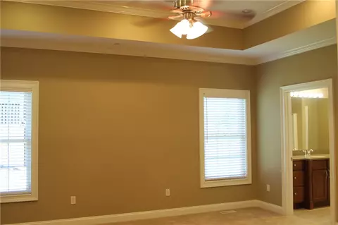 301 Cedar Post Ct, Seneca, SC 29672 photo 17