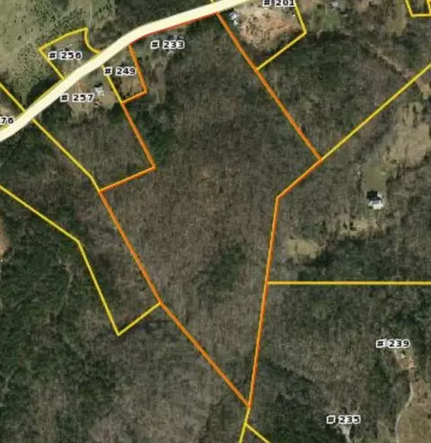 233 Lay Bridge Rd, Central, SC 29630 photo 39