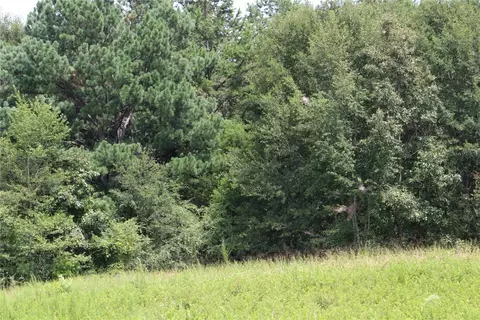 206 Heaven View Dr, Walhalla, SC 29691 photo 19
