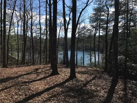 302 Buttercup Way, Sunset, SC 29685 photo 4