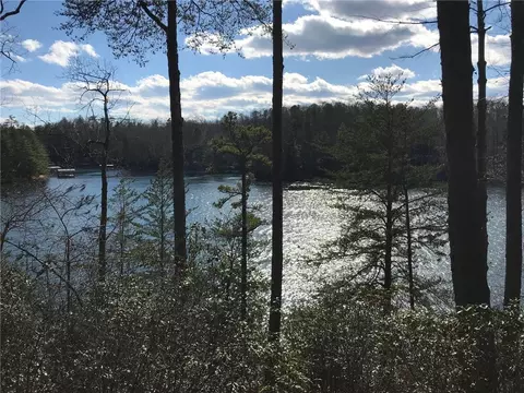 302 Buttercup Way, Sunset, SC 29685 photo 2