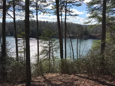 302 Buttercup Way, Sunset, SC 29685 photo 3