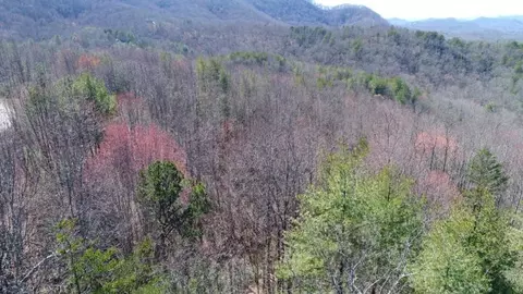 288 High Meadows Dr, Pickens, SC 29671 photo 7