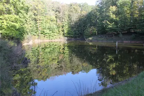 1000 Nine Times Rd, Pickens, SC 29671 photo 11