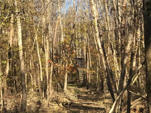 862 Due West Rd, Honea Path, SC 29654 photo 33