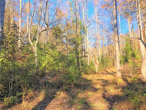 209 Cedar Lane Cir #NORRIS HWY, Central, SC 29630 photo 49