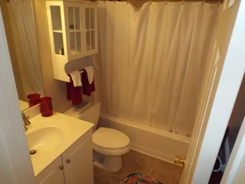 326 Weeping Willow Dr, Seneca, SC 29672 photo 13