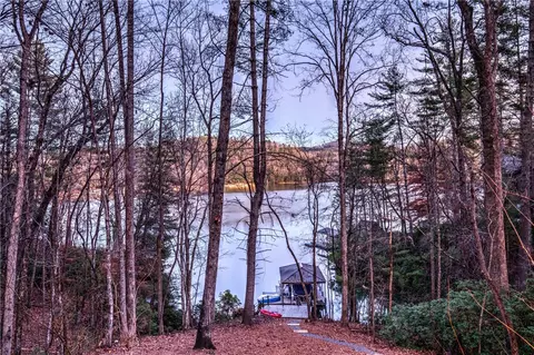 100 Mist Flower Ln, Sunset, SC 29685 photo 6
