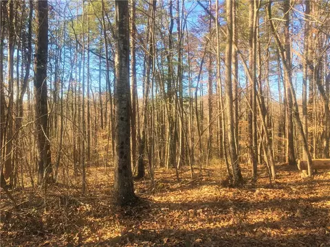 00 Forest Acre Cir, Walhalla, SC 29691 photo 2