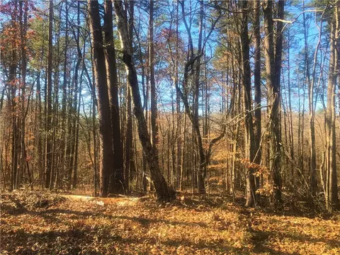 00 Forest Acre Cir, Walhalla, SC 29691 photo 6
