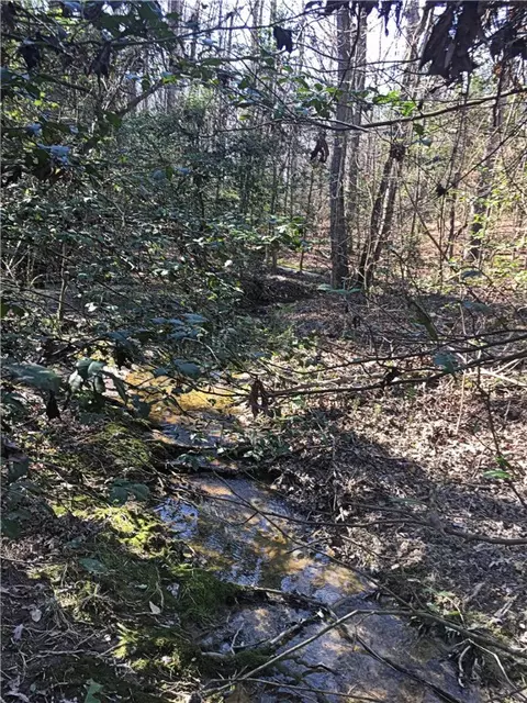 309 Due West Rd, Honea Path, SC 29654 photo 26