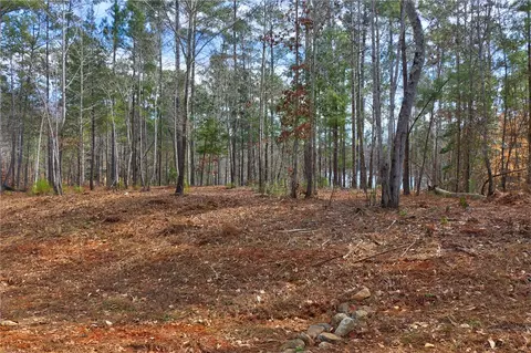 391 Peninsula Rdg, Sunset, SC 29685 photo 7